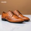 Brogue Tan Brown formal Shoes